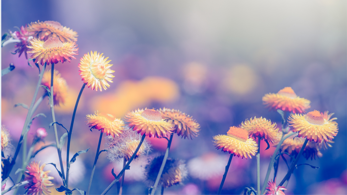 How to Journal Your Way to Self-Love
– My Self-Love Supply How to Journal Your Way to Self-Love
– My Self-Love Supply